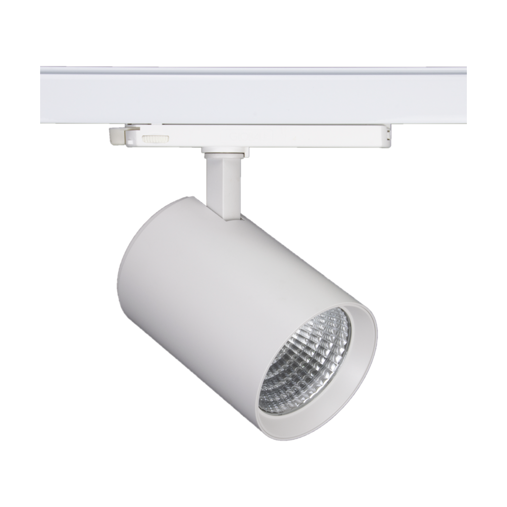 A Viable Life Philosophy